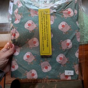 Trendy Boutique Green Reindeer Kids Pajama Set